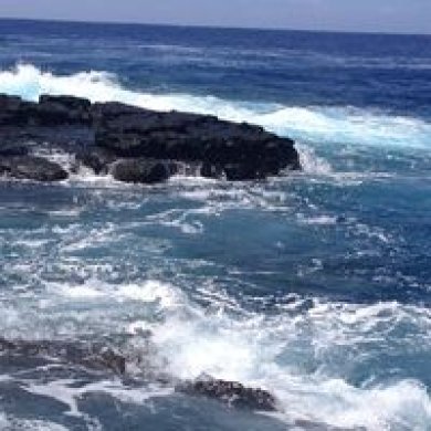 Marie-MichaelleDai-360