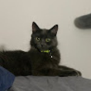 JihyoungRhéaLee-3009