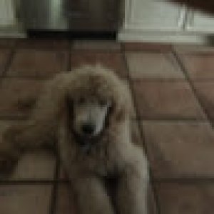 ChiaraAndArianaBaz-6893