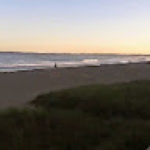 LOUISEBou-8225