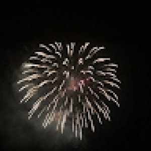 LouisTai-8584