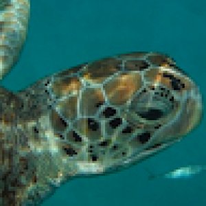 LauriePlo-9846