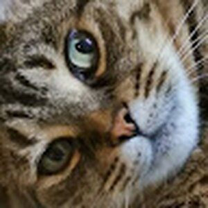 Sammy-9486