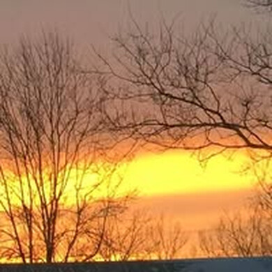 AnneMarieMoh-4473